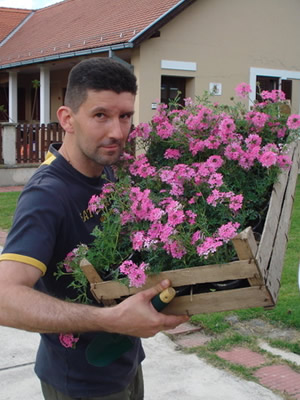 cvijet1.jpg