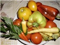 povrće mix
