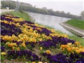 vukovar