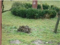 zimovaliste