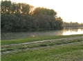 Biljsko jezero - stara Drava