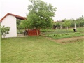 cvijeće