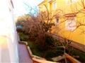 sunce
