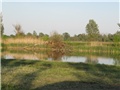 Biljsko jezero - stara Drava