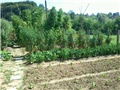 vrt_201208_2