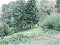 pogled s brijega
