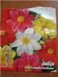 dalia