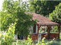 cvijeće