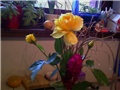 cvijeće u vazi