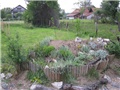 bregec