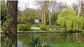 Maksimir