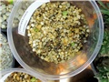 Pseudolithos migiurtinus