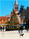 zadar
