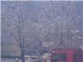 vrbovec