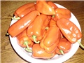  paprika roga