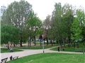 Drveće Gajnica6