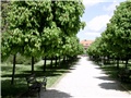 Koprivnica1