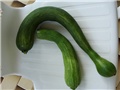 Tikvica