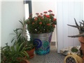 moj balkon