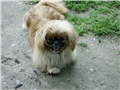 Đurđa5