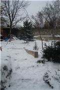 snijeg u vrtu