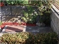 vrtno cvijece