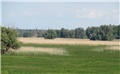 Kopački rit