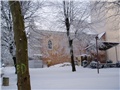 vrbovec