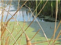 Kanal