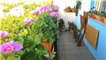 moj balkon