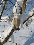 hranilica