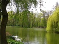 Maksimir