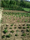 vrt_201208_1