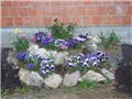 kamenjar