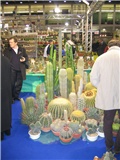 Padova 2006