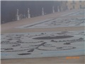 schonbrunn