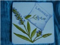 Lavanda 3