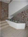sukulenti