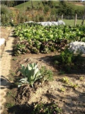 vrt_092012
