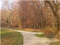 Maksimir
