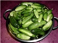 krastavci5
