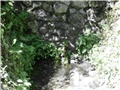 prirodni izvor2