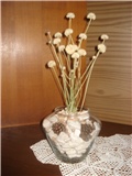 kamenčići i suho cvijeće