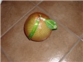 pomelo
