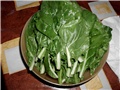 srebrnolisna blitva
