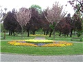 park1