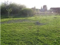 grupna 2