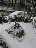 Zima 18_12_2010