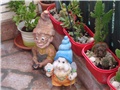 baby bodljići