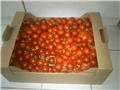 paradajzeki_201208